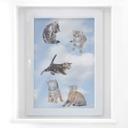 Cuadro de ventana Gatos bebé reales Set 03