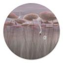 Wanddecoratie lotusbloemen met zwaan in water in schemerroze - Ms Tiff - Alu-Dibond Rond