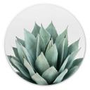 Wandcirkel Sisi & Seb - Succulents