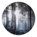 Tableau en alu-Dibond Rayons de soleil dans la forêt bleue - Rond