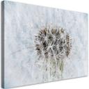 Canvasbillede, Hvide mælkebøtteplanter