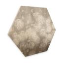 Zeshoekige Houten Wanddecoratie paardenbloemen droom in beige - Ms Tiff