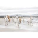 Fotobehang Papierbehang White Horses