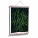 Plakat - Botanical 03