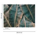 Grønt og brunt fototapet Designwalls non-woven tapet BananaLeaves palmetræer jungle