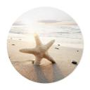 Póster Estrella de mar centelleante en una playa solitaria - Redondo