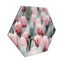 Hexagone - alu-Dibond Annie - Tulipes de printemps