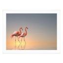Póster Cseresnjes - Flamencos a la luz del atardecer