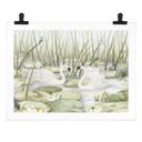 Póster Dos cisnes en el estanque - Kikki Belle