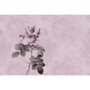 Livingwalls Fototapet Walls by Patel Rose 1