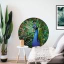 Sticker mural Magnifique paon - Rond