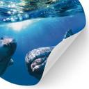 Dolphins Underwater Wallsticker - Rund