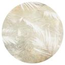 Vinilo decorativo Abstracto hojas de palmera blancas - Kulik - Redondo
