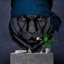 Fotomural Paredes de Patel panther 1
