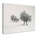 Lienzo Carrillo Lopez - Paisaje blanco