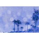 Livingwalls papier peint photo ARTist Palm Oasis avec palmiers bleu