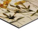Fototapet Vilde engblomster i sollyset - Talen – print på aluminium (Alu-Dibond)