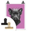 Plakat - Korenkova - King French Bulldog Pink