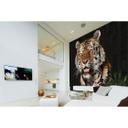Architects Paper Papier peint photo Atelier 47 Polygon Tiger animal