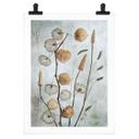 Plakat Tørrede lanterneblomster - Disher