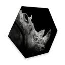 Hexagone - alu-Dibond Meermann - Le rhinocéros