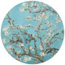 Fototapet - Rundt van Gogh - Mandelblomst - vliesetapet/selvklæbende non-woven tapet