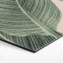 Hexagon Dibond Calathea-plante - Sisi & Seb