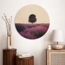 Cuadro de madera campos de lavanda purpura al atardecer - Cevik - Redondo