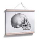 Póster Calavera 02