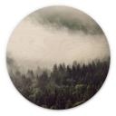 Cuadro de madera Niebla en el bosque 02 - Redondo
