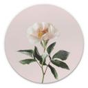 Tableau en alu-Dibond Sisi &Seb - Tendresse - Rond