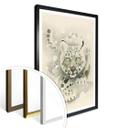 Plakat - Braun - Snow Leopard