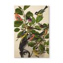 Billede af træ Frida Floral Studio - Twiggy Eye