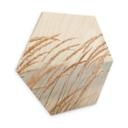 Hexagone - Bois Herbe des dunes