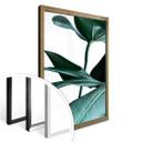 Plakat - Urban Jungle - Monstera Deliciosa
