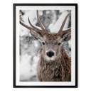 Póster Invierno - Ciervos en una nevada - Strigel