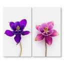 Dækplade til komfur Pink blomster