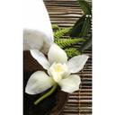 Fototapet - Wellness Orchid