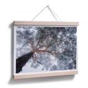 Póster Krivec - Árbol en invierno