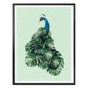 Plakat - Loose - Monstera Bird