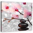 Canvasbillede, Zen sten orkidé blomster