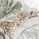 Kinder Fotobehang jungle dieren op Afmeting - Ms Tiff
