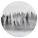 Vinilo decorativo bosque de nubes en blanco y negro - Redondo - Xu