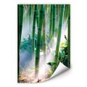 Poster autocollant - W - Bamboo Forest