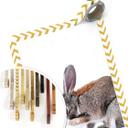 Affiche - lapin