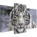 3 stykke lærredstryk Tiger Wild Animal sort og hvid