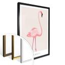 Plakat - Pink Beauty - Flamingo