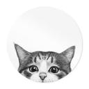 Póster Gato curioso - Korenkova - Redondo