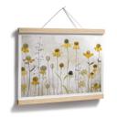 Poster Disher - Girasol