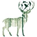 Sticker mural - Cerf vert
